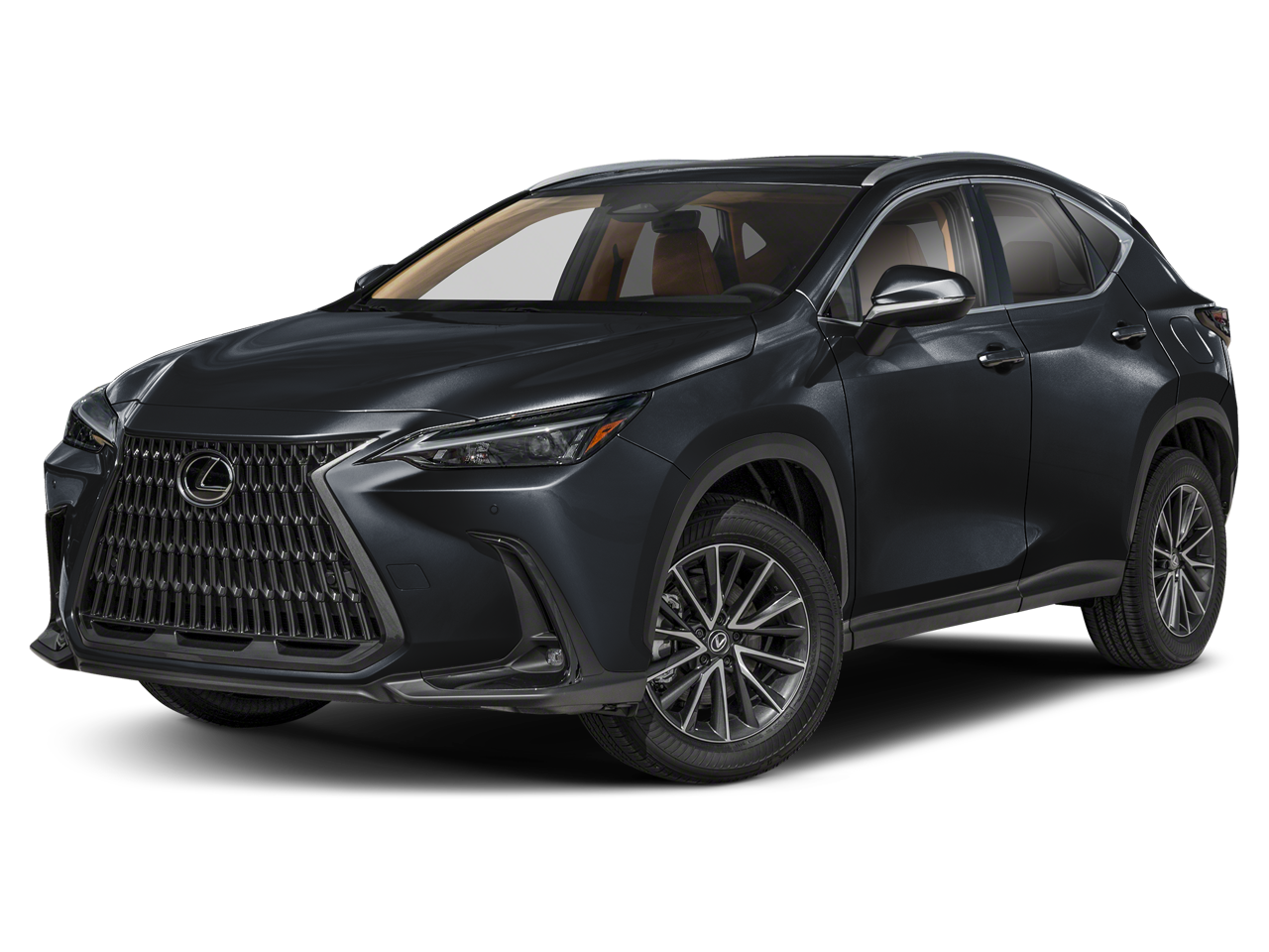 2025 Lexus NX 350's photo