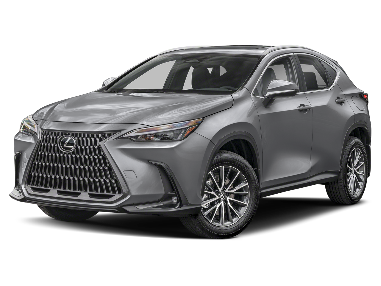 2025 Lexus NX 350h 350h Premium AWD's photo