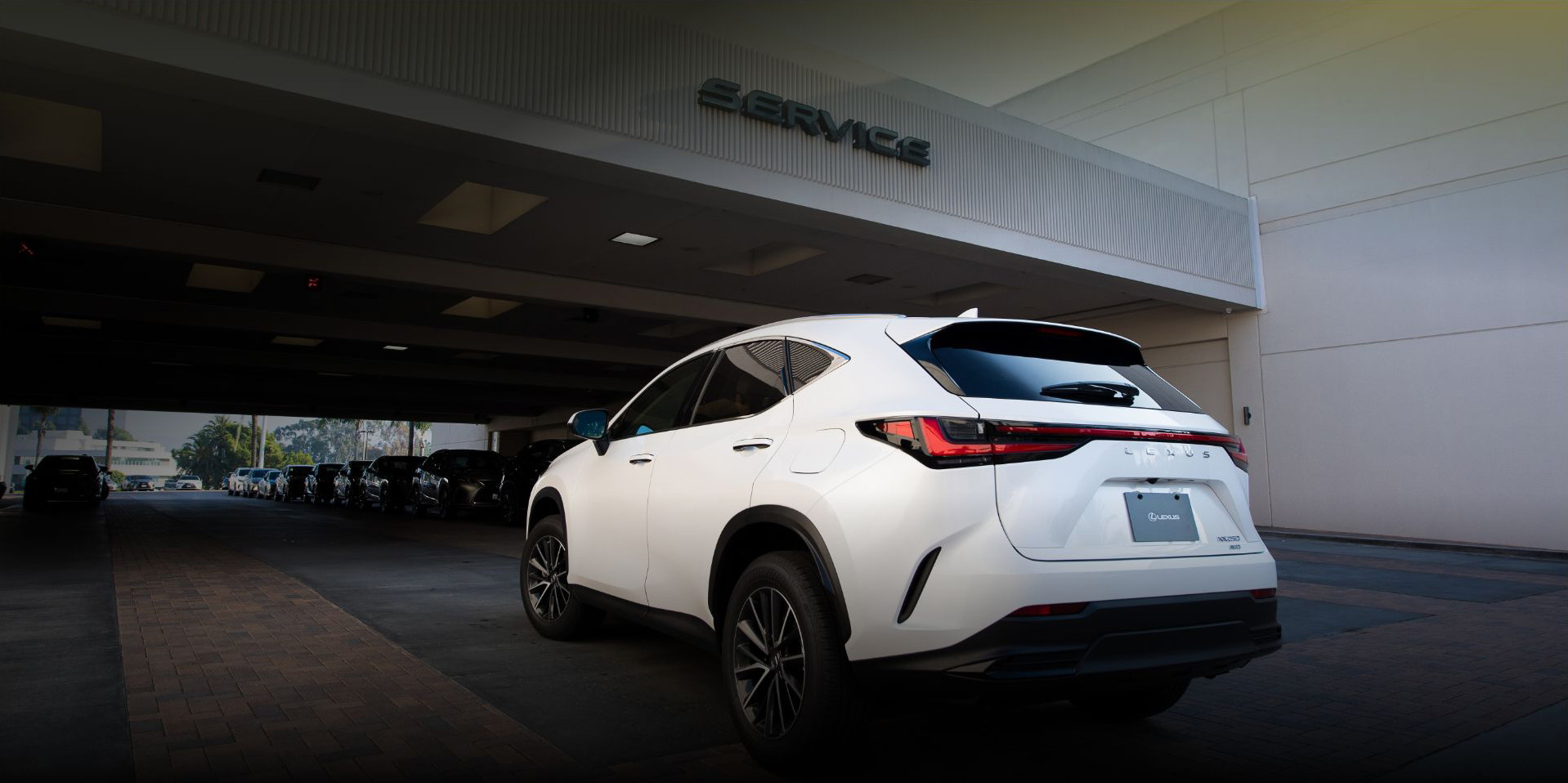 LexusCare Benefits in Kingsport, TN - Lexus of Kingsport