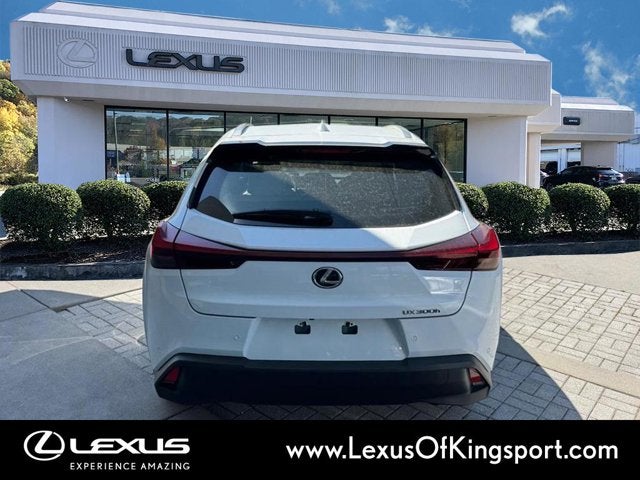 2026 Lexus UX HYBRID UX 300h PREMIUM
