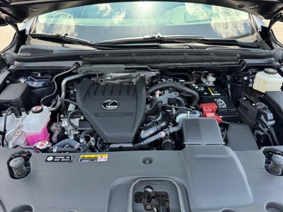 2025 Lexus RX 350 Premium Plus