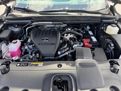 2025 Lexus RX 350 Premium Plus