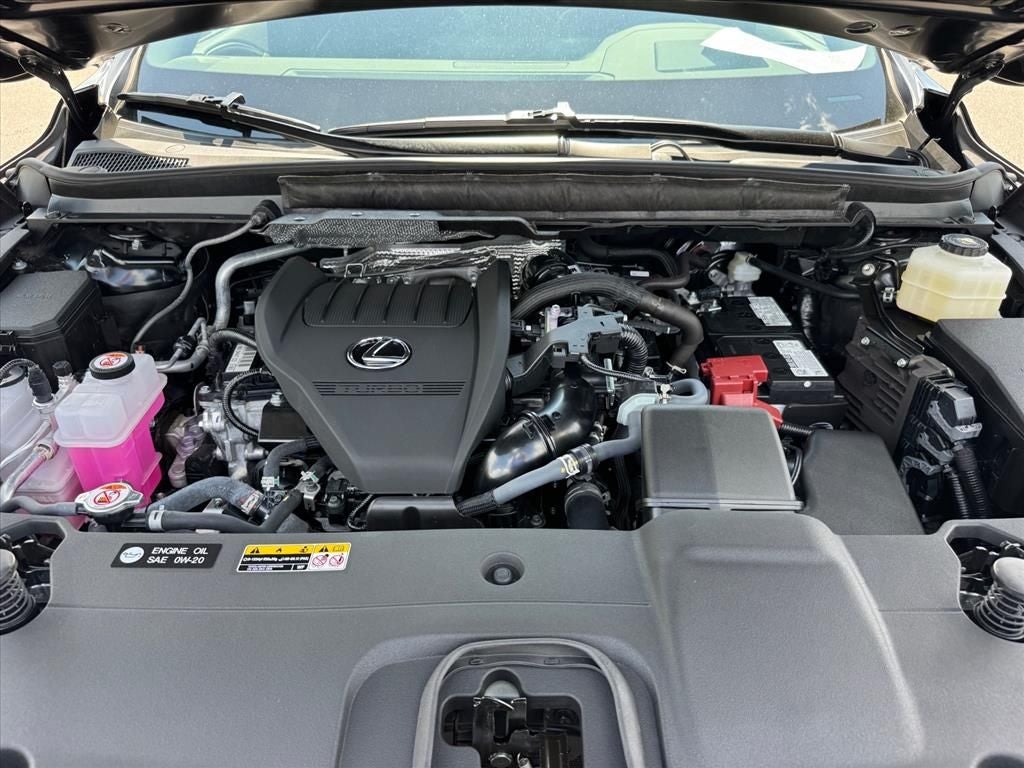 2025 Lexus RX 350 Premium Plus