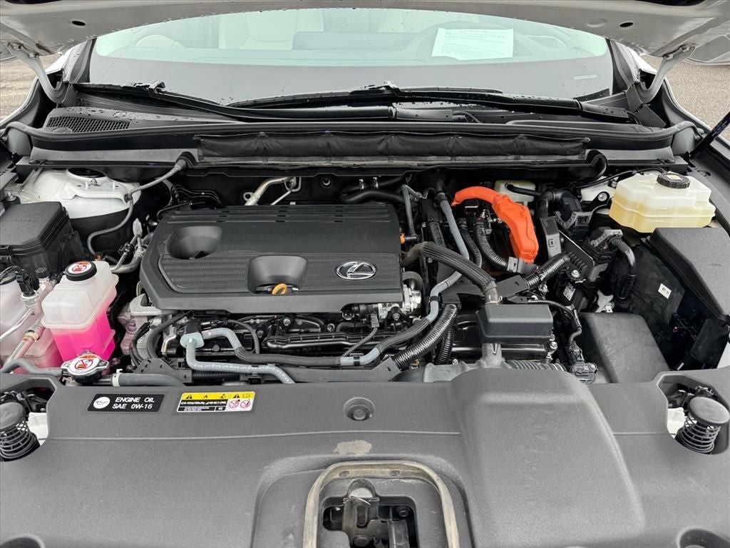 2023 Lexus RX 350h Luxury
