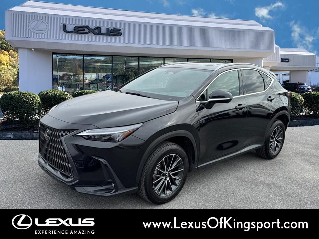 2025 Lexus NX 250 Premium