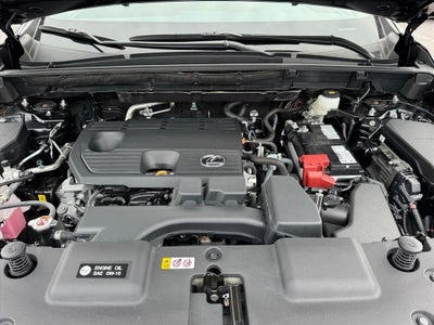 2025 Lexus NX 250 Premium