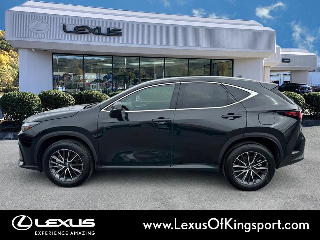 2025 Lexus NX 250 Premium