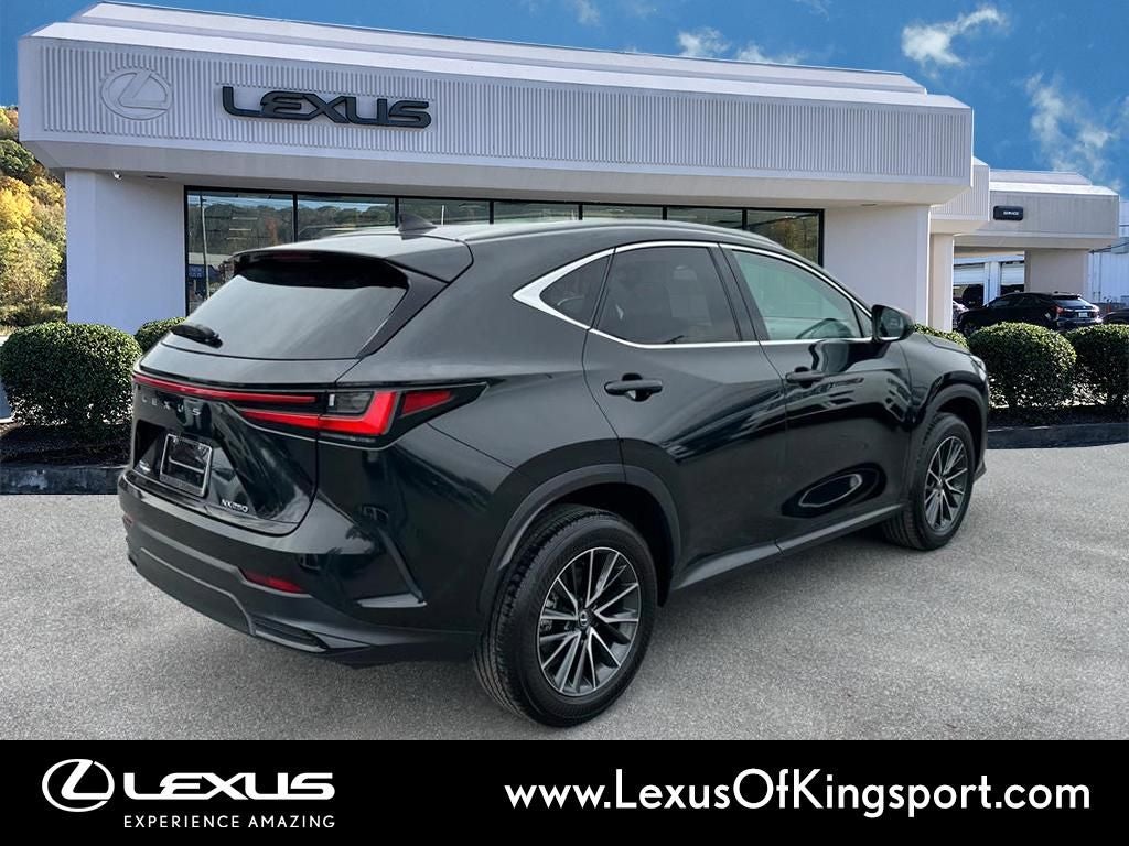2025 Lexus NX 250 Premium
