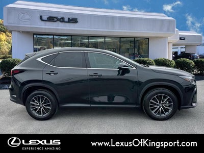 2025 Lexus NX 250 Premium