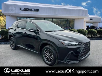 2025 Lexus NX 250 Premium