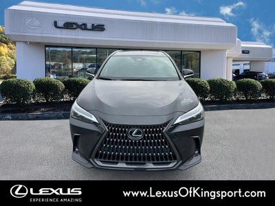 2025 Lexus NX 250 Premium
