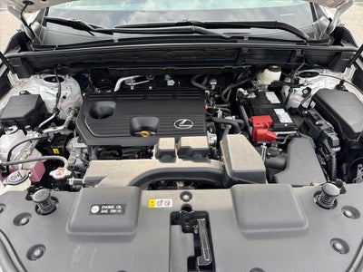 2025 Lexus NX 250 Premium