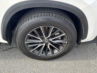 2025 Lexus NX 250 Premium