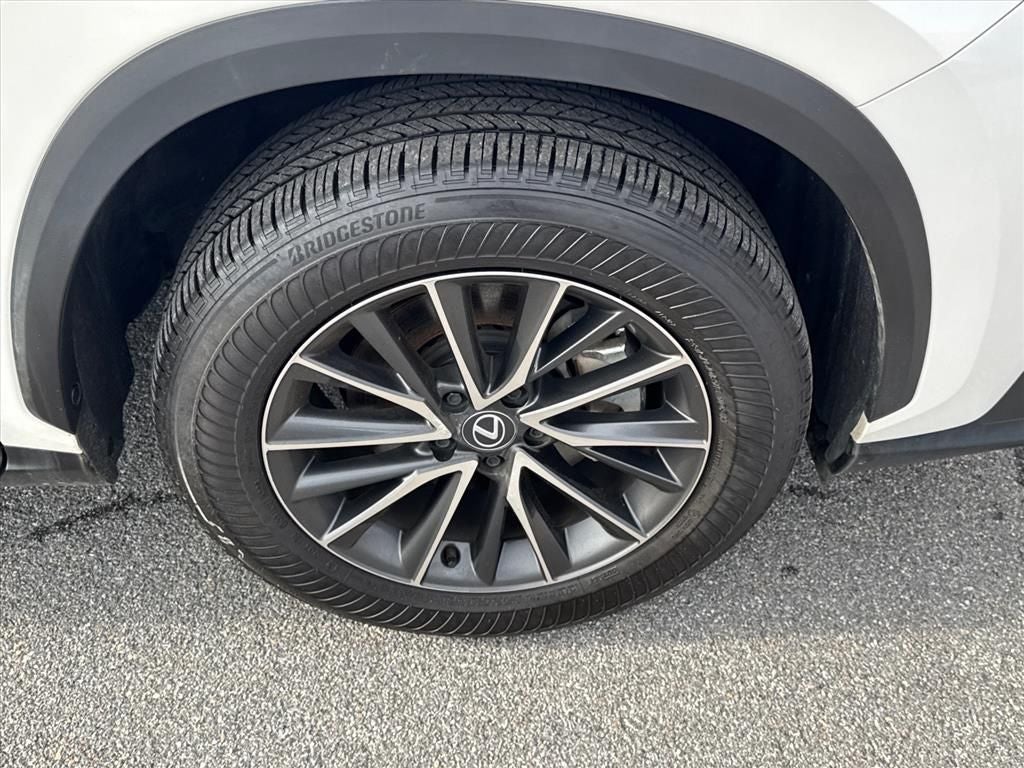 2025 Lexus NX 250 Premium