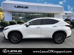 2025 Lexus NX 250 Premium