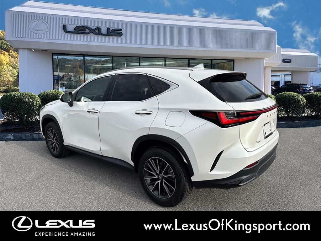 2025 Lexus NX 250 Premium