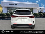 2025 Lexus NX 250 Premium