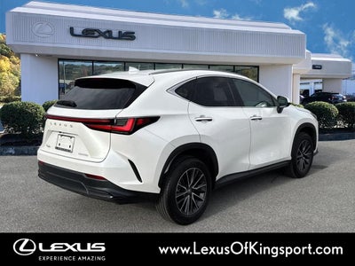 2025 Lexus NX 250 Premium