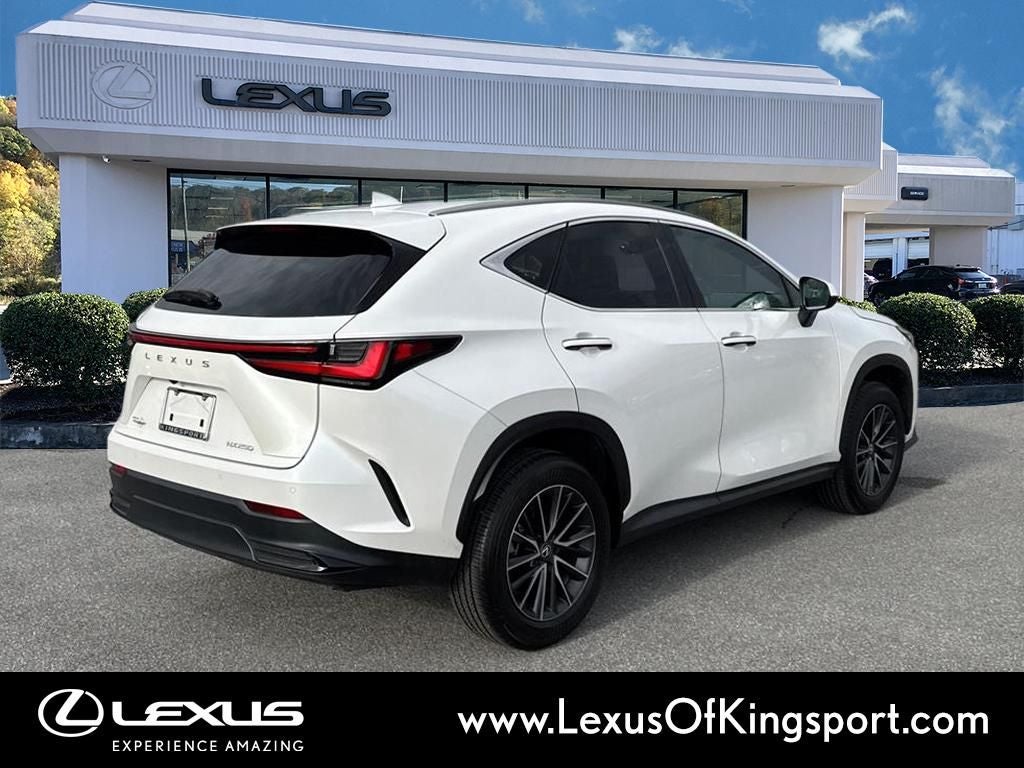 2025 Lexus NX 250 Premium