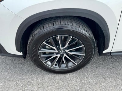 2024 Lexus NX 350 Premium