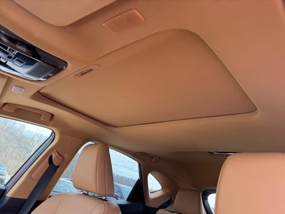 2024 Lexus NX 350 Premium