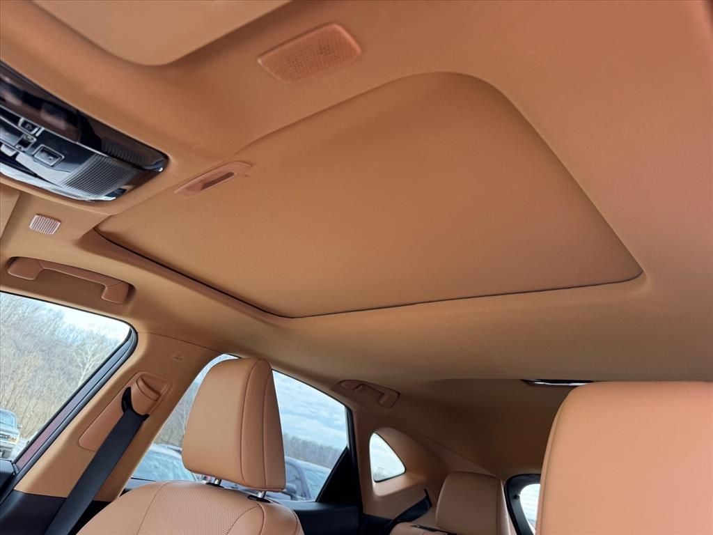 2024 Lexus NX 350 Premium