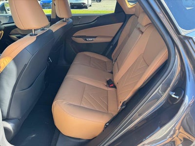 2024 Lexus NX 350 Luxury