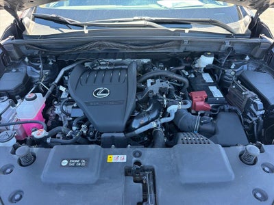 2024 Lexus NX 350 Luxury
