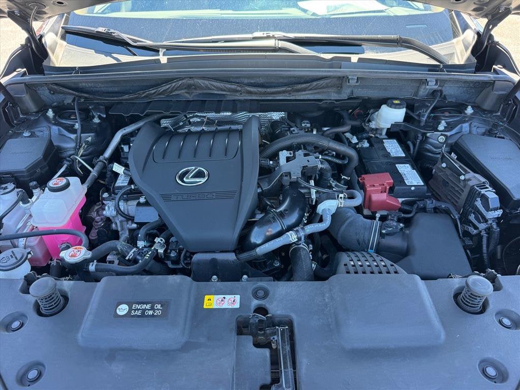 2024 Lexus NX 350 Luxury