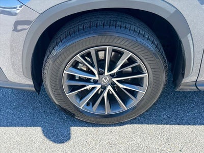 2024 Lexus NX 350 Luxury