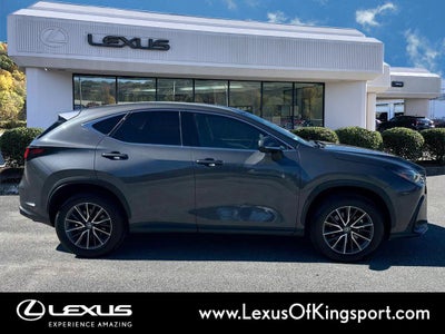 2024 Lexus NX 350 Luxury