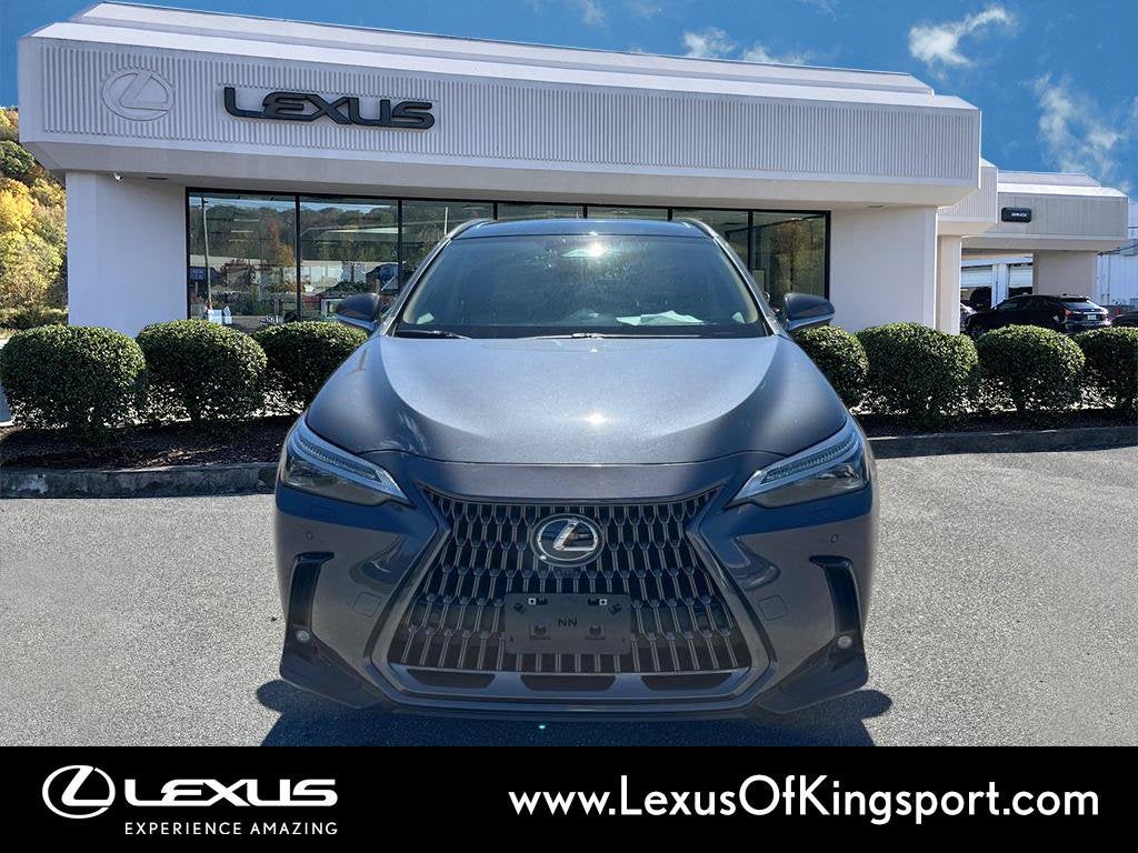 2024 Lexus NX 350 Luxury