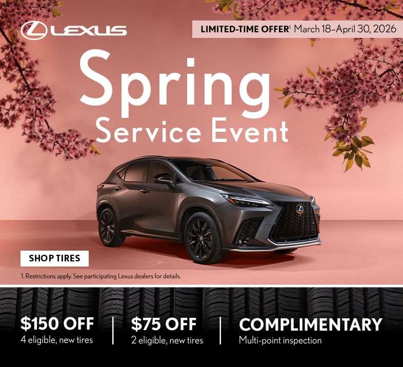 Spring Service Special